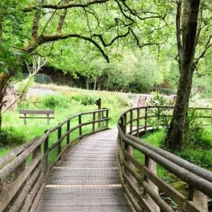 Best Travel Agency in Bangalore | Red Maple Travels